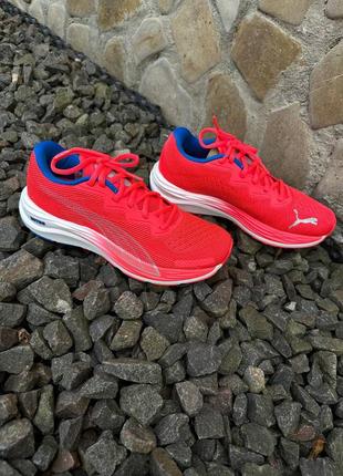Кроссовки puma velocity nitro 2 orange для бега