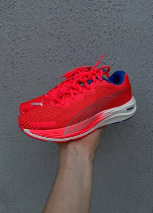 Удобные кроссовки для бега puma velocity nitro 2 orange2 фото