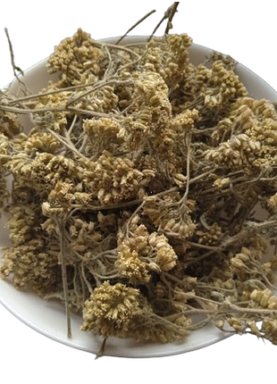 Деревій цвіт сушений achillea millefolium 5 кг