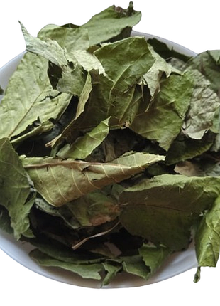 Горіх волоський листя сушене juglans regia 5 кг