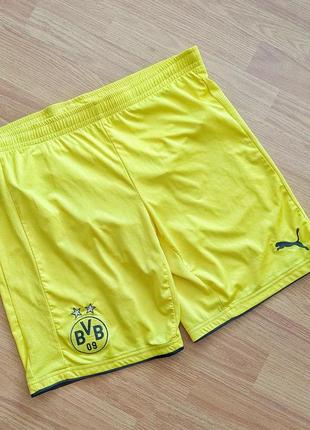 Чоловічі спортивні шорти