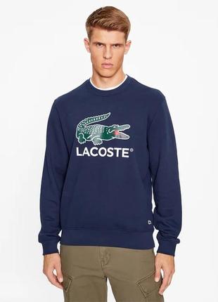 Мужской свитшот lacoste big logo