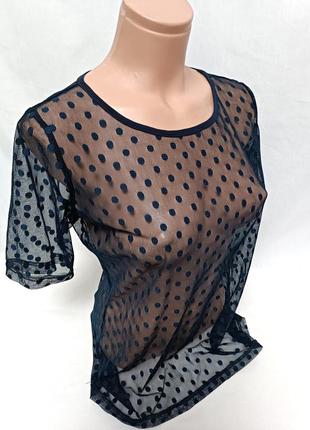Блуза жіноча літо 40/12/l/48