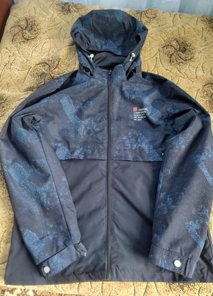 Вітровка чоловіча