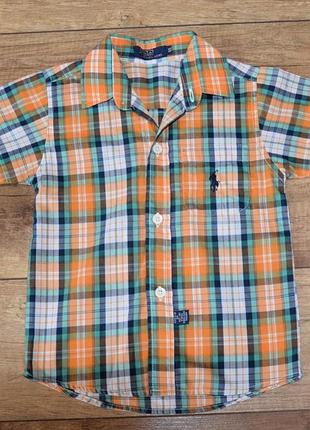 Рубашка, рубашка летнего мальчишки polo by ralph lauren на 3-4 года, 98-104 см