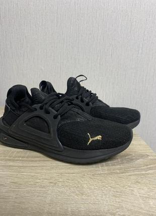 Кросівки puma