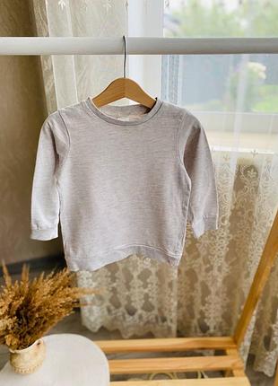 Кофта тонка, кофтинка світшот