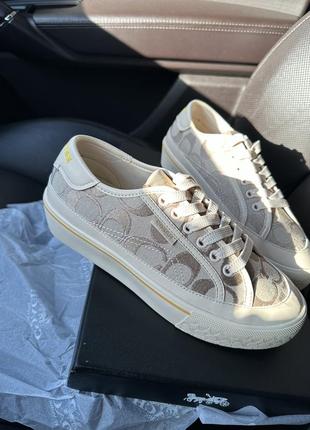Кеди coach