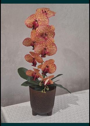 Орхідея з латексу