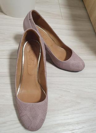 Туфлі лодочки човники2 фото