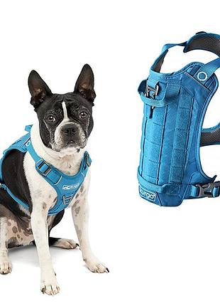 Kurgo county harness курго каунти шлея для собак