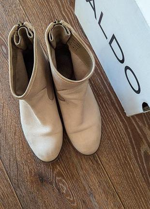 Черевики aldo