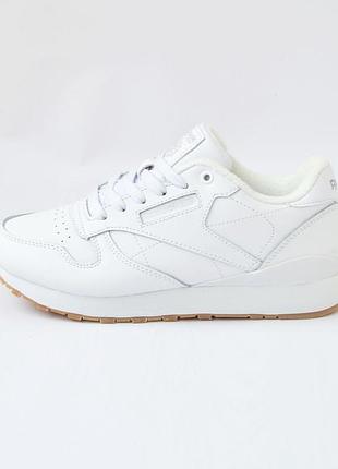 5099 reebok classic термо кроссовки женские кроссовки рыбок ребёнка зима