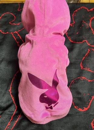 Одяг для собак