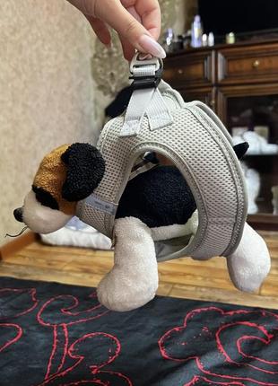 Шлейка для собак