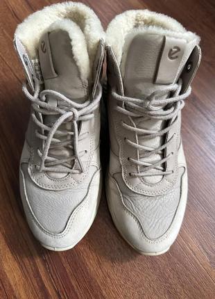 Кроссовки зима ecco 37р
