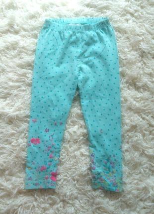 Лосини на 3 роки