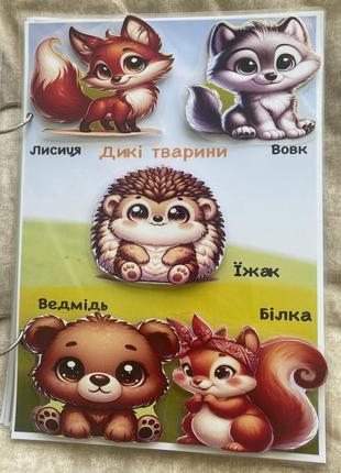 Книжечка на липучках (обложка может быть другая) 3