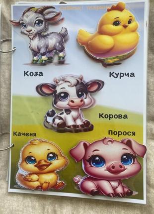 Книжечка на липучках (обложка может быть другая) 2
