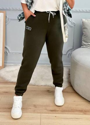 Спортивні штани демісезон