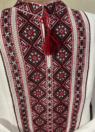 Стильна чоловіча вишиванка на білому полотні ручної роботи. ч-1901