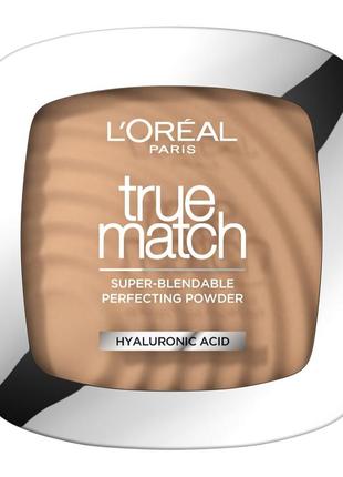 Компактна пудра для сяйва обличчя l'oreal paris true match тон 3r/c 9 г (3600520772028)