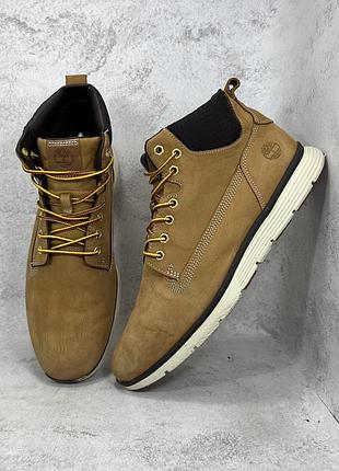 Демісезонні черевики timberland kilingron
