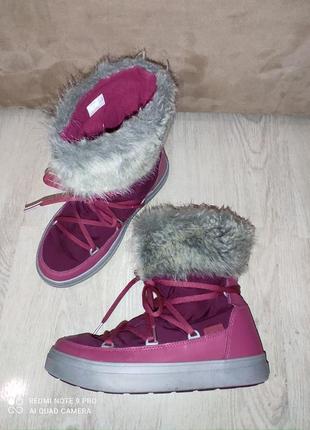 Сапоги сапоги crocs w8 стелька 25,52 фото