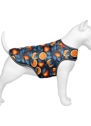 Курточка-накидка для собак waudog clothes, малюнок "апельсини", l, а 41 см, b 58-70 см, с 42-52 см