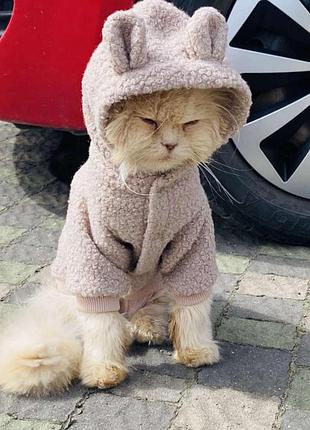 Худи,кофта для животных,собак,котов