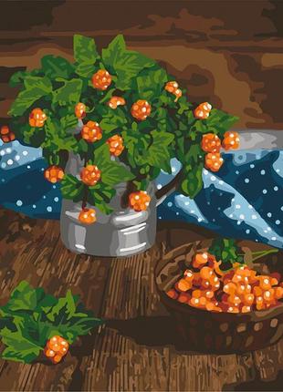 Kh 5575 царські ягоди картина за номерами на полотні 40х50см