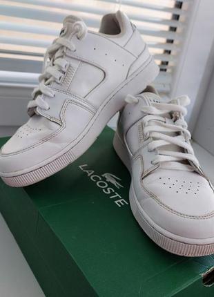 Кеды кросовки lacoste 40,5 унисекс белые