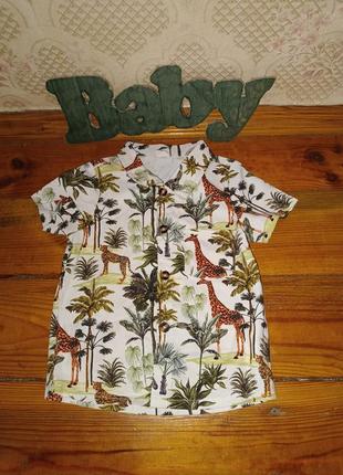 Сорочка з тваринами на хлопчика