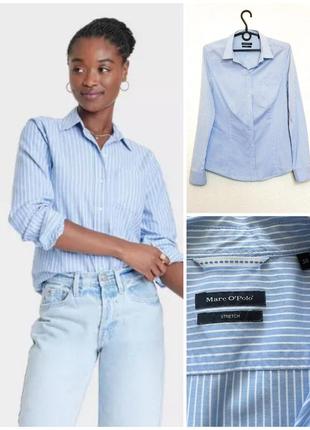 Сорочка Polo Ralph Lauren Niebieski melanżowy T-shirt z logo в смужку