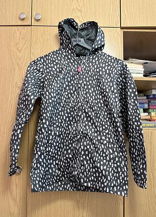 Дощовик nutmeg