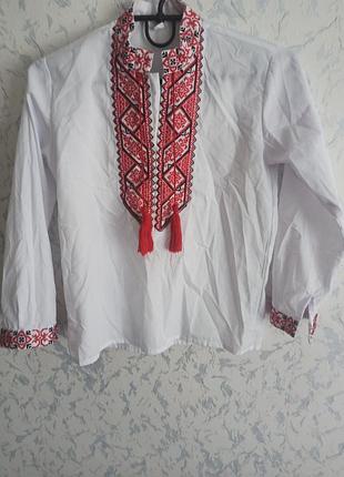 Вишиванка сорочка 2
