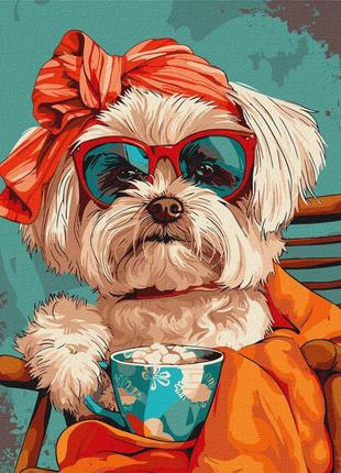 Картина за номерами "стильне ши-тсу" kho6610 40х50 см