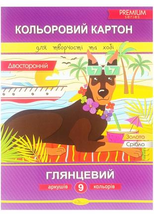 Набір двобічного кольорового картону а4 ап-1106-2, 9 аркушів