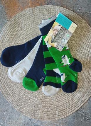 Носки хлопковые для мальчика, размер 19/22, комплект из 5 пар, нитевичка.