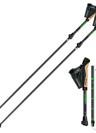 Палиці для скандинавської ходьби gabel springbok xts