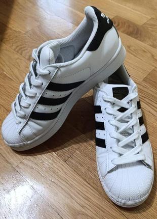 Adidas  (оригінал)