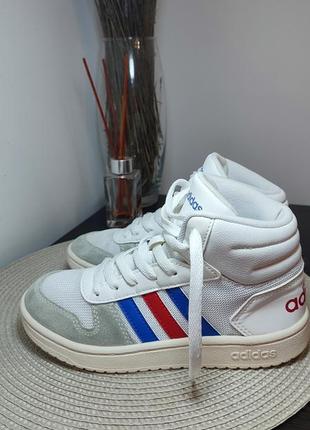 Кроссовки,хайтопы3 фото