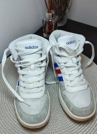 Кроссовки,хайтопы5 фото