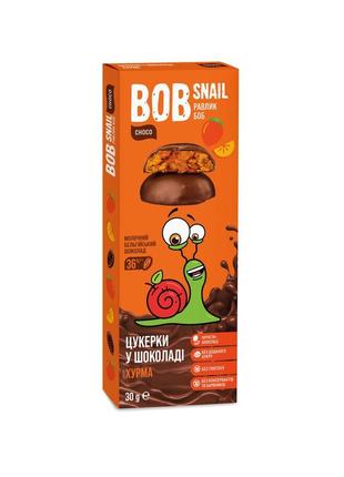 Цукерки з хурми у молочному шоколаді bob snail (равлик боб), 30 г