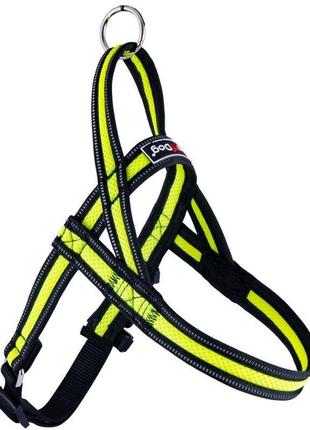 Шлея для собак з неопрену gimdog alfresco y (джимдог алфреско у)