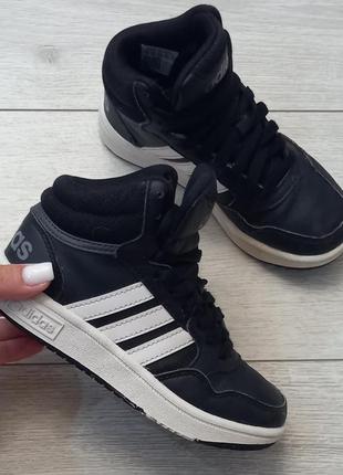 Кроссовки adidas hoops. оригинал. 29р