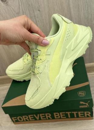 Кроссовки Puma frontal Green Gables White 11 $79.97
