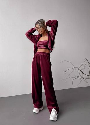 Велюровий костюм двійка