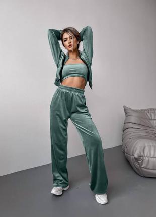 Велюровий костюм двійка