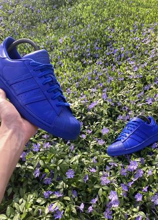 Кросівки adidas superstar x pharrel williams|кроссовки адидас оригінал1 фото